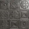 Shield argent relief